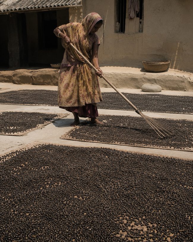 Seed drying on a mat